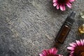 Echinacea tincture and oils on dark background