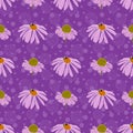 Echinacea vector seamless pattern design purple background