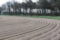 Echterbosch, Limburg, The Netherlands - Potato fields on brown soil with bicycle racers in the background