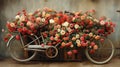 a vintage beach cruiser bicycle in sepia, its wooden crate overflowing with an array of red, pink, white, and yellow roses Royalty Free Stock Photo