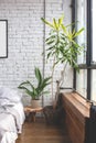 Eclectic bedroom interior with plants.