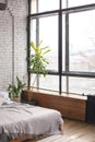 Eclectic bedroom interior with plants.