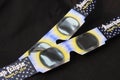 Eclipse Glasses Royalty Free Stock Photo