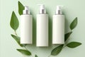 Eco Aesthetics: Simple Lotion Bottles and Greenery Royalty Free Stock Photo