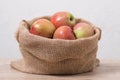 Spring farm apples. Burlap sack with rustic apples Royalty Free Stock Photo