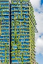 Sydney, NSW, Australia, March 9, 2018: Green skyscraper with hydroponic plants on the facade. Royalty Free Stock Photo