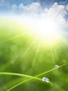 Eco background with Sky, Grass, Water Drops Royalty Free Stock Photo