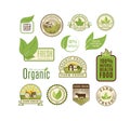 Eco badge organic food vector illustration.