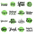 Eco, Bio, Organic, Gluten free, Natural food, Vegan Lettering. Modern Hand Drawn Ecological Icons and Badges against