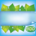 Eco blue background with fresh green leaves Royalty Free Stock Photo
