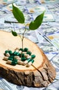 Eco capsules and sprout on a tree background of 100 dollar bills, eco-friendly money Royalty Free Stock Photo