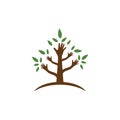 Eco care logo