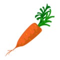 Eco carrot icon, cartoon style Royalty Free Stock Photo