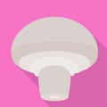 Eco champignon icon, flat style