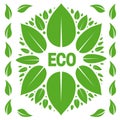 Eco collage ornament made from green leaves