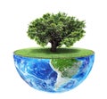 Eco concept. Royalty Free Stock Photo