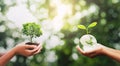 eco concept. hand holding crystal glass with tree growing and green nature background. idea save world. earth day