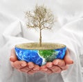 Eco concept. Hands hold a half planet with dead tree. Royalty Free Stock Photo