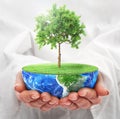 Eco concept. Hands hold a half planet with tree. Royalty Free Stock Photo