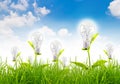 Eco concept -light bulb grow in the grass. Royalty Free Stock Photo