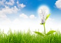 Eco concept -light bulb grow in the grass. Royalty Free Stock Photo