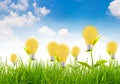 Eco concept -light bulb grow in the grass Royalty Free Stock Photo