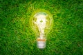 .Eco concept - light bulb grow in the grass Royalty Free Stock Photo