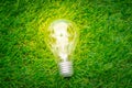 .Eco concept - light bulb grow in the grass Royalty Free Stock Photo