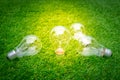 .Eco concept - light bulb grow in the grass Royalty Free Stock Photo
