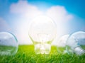 .Eco concept - light bulb grow in the grass Royalty Free Stock Photo