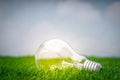 .Eco concept - light bulb grow in the grass against blue sky Royalty Free Stock Photo