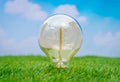 .Eco concept - light bulb grow in the grass against blue sky Royalty Free Stock Photo