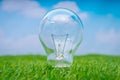 .Eco concept - light bulb grow in the grass against blue sky Royalty Free Stock Photo