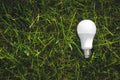 Eco concept - light bulb grow in the grass. Concept eco idea. Copy space for text Royalty Free Stock Photo