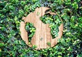 Eco concept :Wood texture world icon on green leaves wall