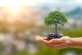 Eco conscious foliage Tree wears a mask, urging environmental protection Royalty Free Stock Photo