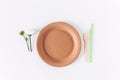 Eco craft disposable tableware from wood and recycle paper. Plate,straw,folk and flowers. Zero waste concept. White background