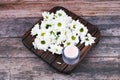 Eco cream on a wooden background. Natural creams for healthy skin. Natural cosmetic. The concept of natural medicine. flat lay Royalty Free Stock Photo