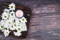 Eco cream on a wooden background. Natural creams for healthy skin. Natural cosmetic. The concept of natural medicine. flat lay Royalty Free Stock Photo