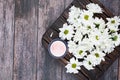 Eco cream on a wooden background. Natural creams for healthy skin. Natural cosmetic. The concept of natural medicine. flat lay Royalty Free Stock Photo