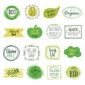 Eco emblems. Vegan green bio food, gluten free natural product labels. Organic healthy eat badges vector set