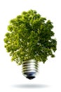 Eco energy concept Royalty Free Stock Photo
