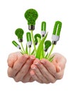 Eco energy light bulbs in hand Royalty Free Stock Photo