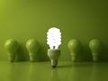 Eco energy saving light bulb , one glowing compact fluorescent lightbulb Royalty Free Stock Photo