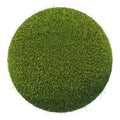 Eco and environment: green fresh grass globe isolated