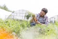 Mid adult farmer examining organic carrots at farm
