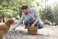 Mid adult man collecting eggs in basket on field at farm