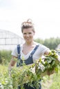 Portrait of smiling mid adult woman holding vegetables in crate at farm Royalty Free Stock Photo