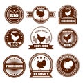 Eco farm chicken turkey emblems