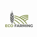 Eco farming icon. eco friendly agricultury symbol. wheat spikelet and fields